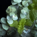 Peppermint & Eucalyptus Linen Spray