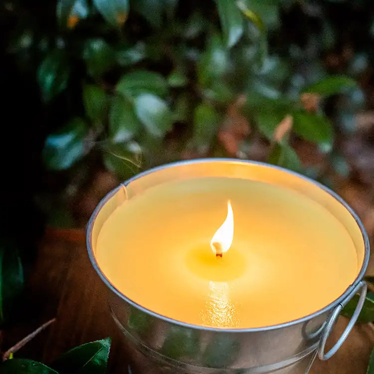 Citronella Candle